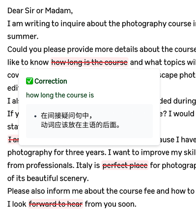 AI Corrections